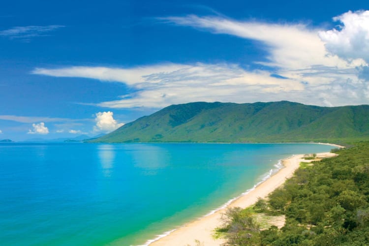 Daintree Rainforest